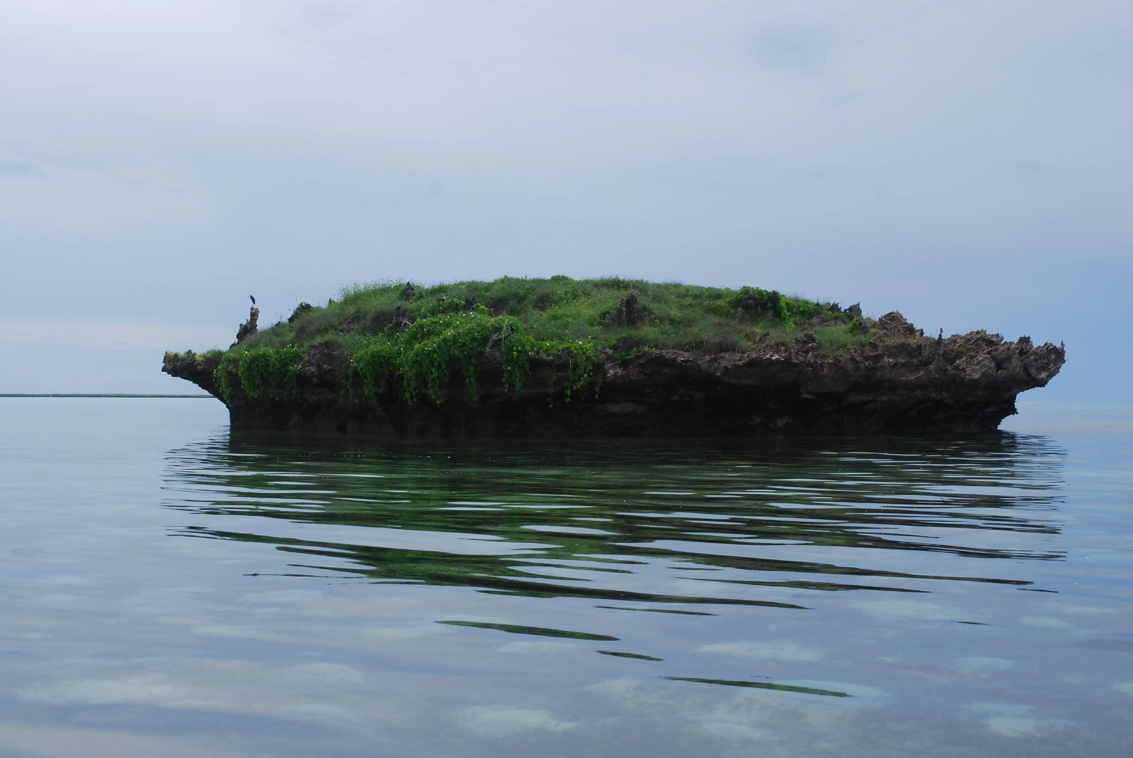 Tsingy Gris
